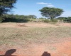 Land,For Sale,1034