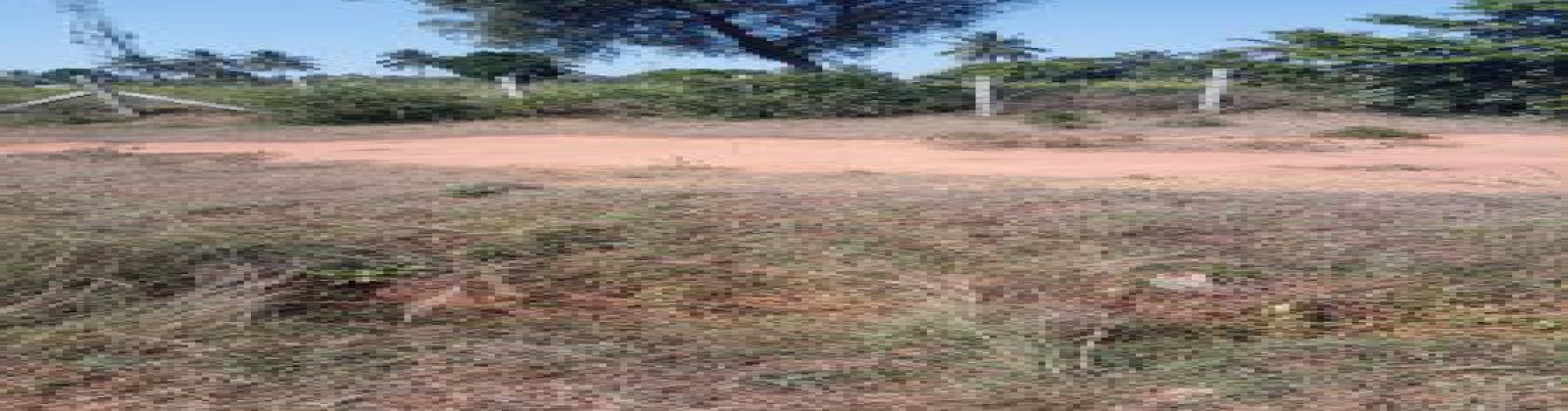 Land,For Sale,1034