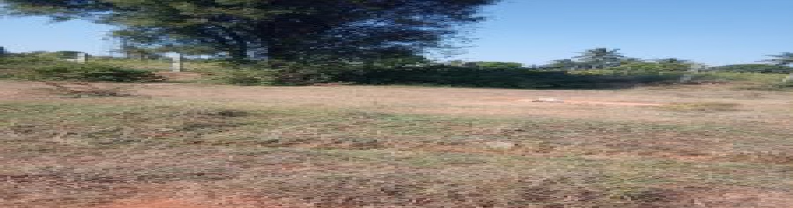 Land,For Sale,1034