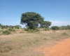 Land,For Sale,1034