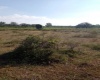 Land,For Sale,1034